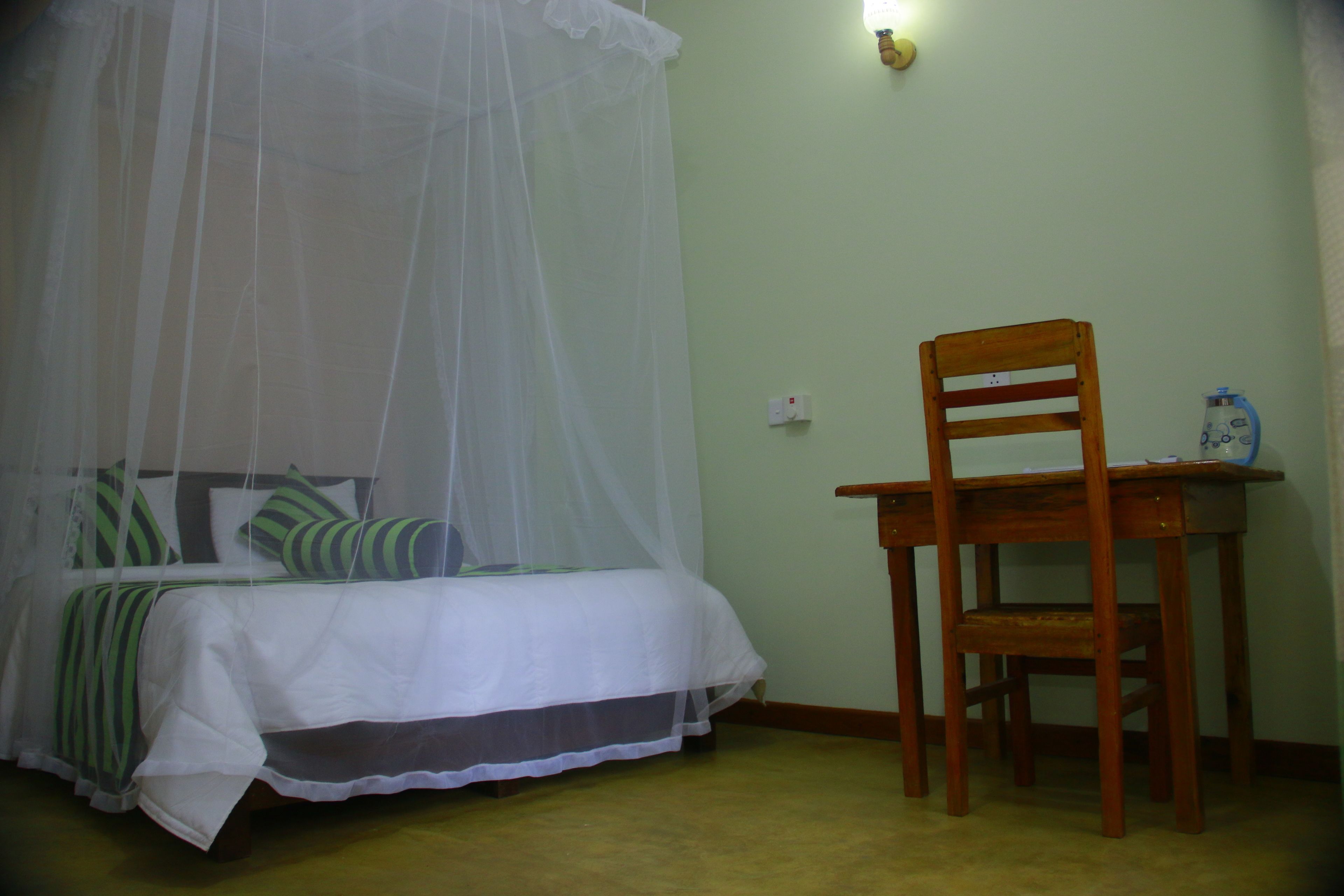 Photo - Dinaro Guest