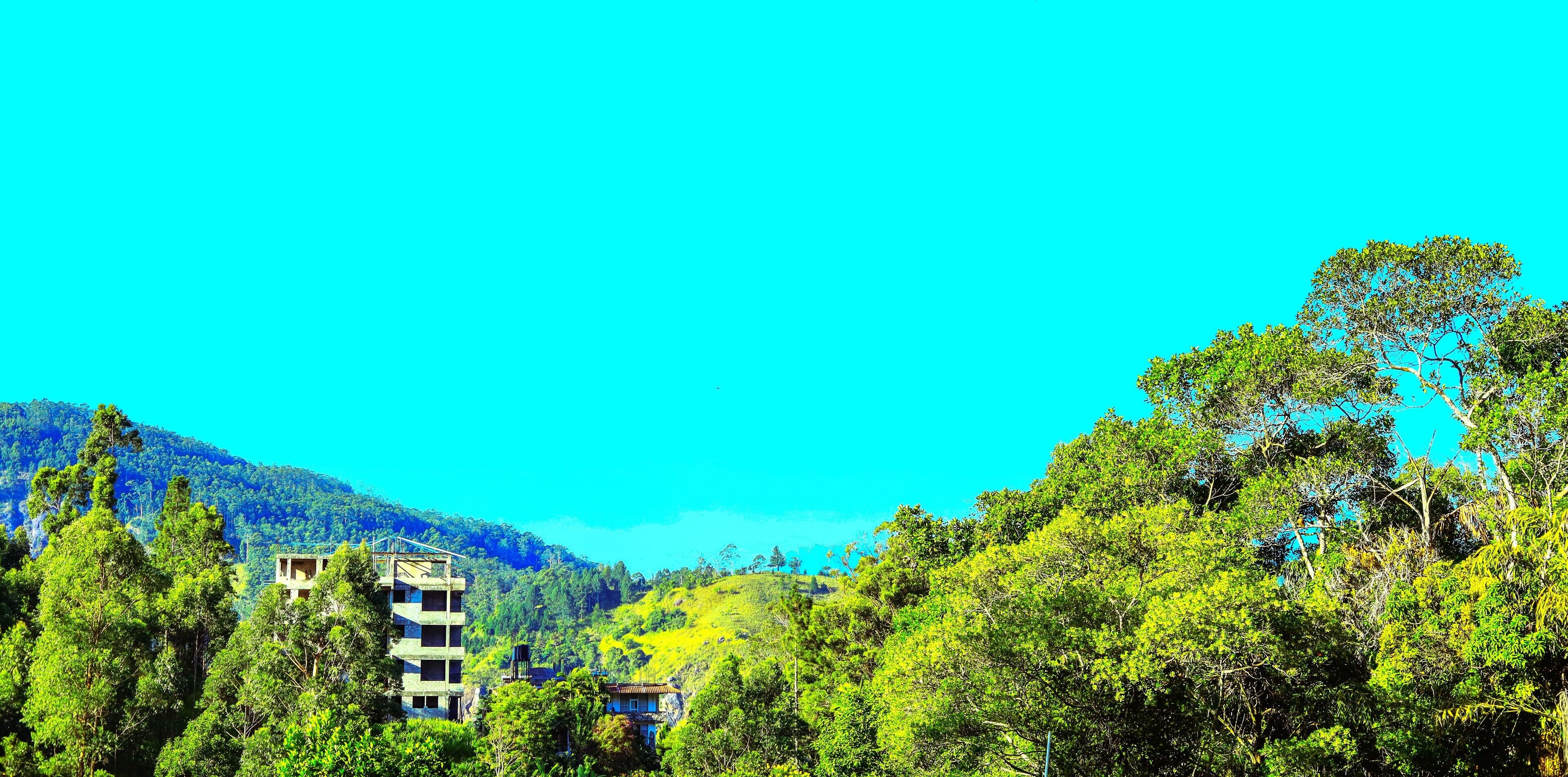 Photo - Dinaro Guest