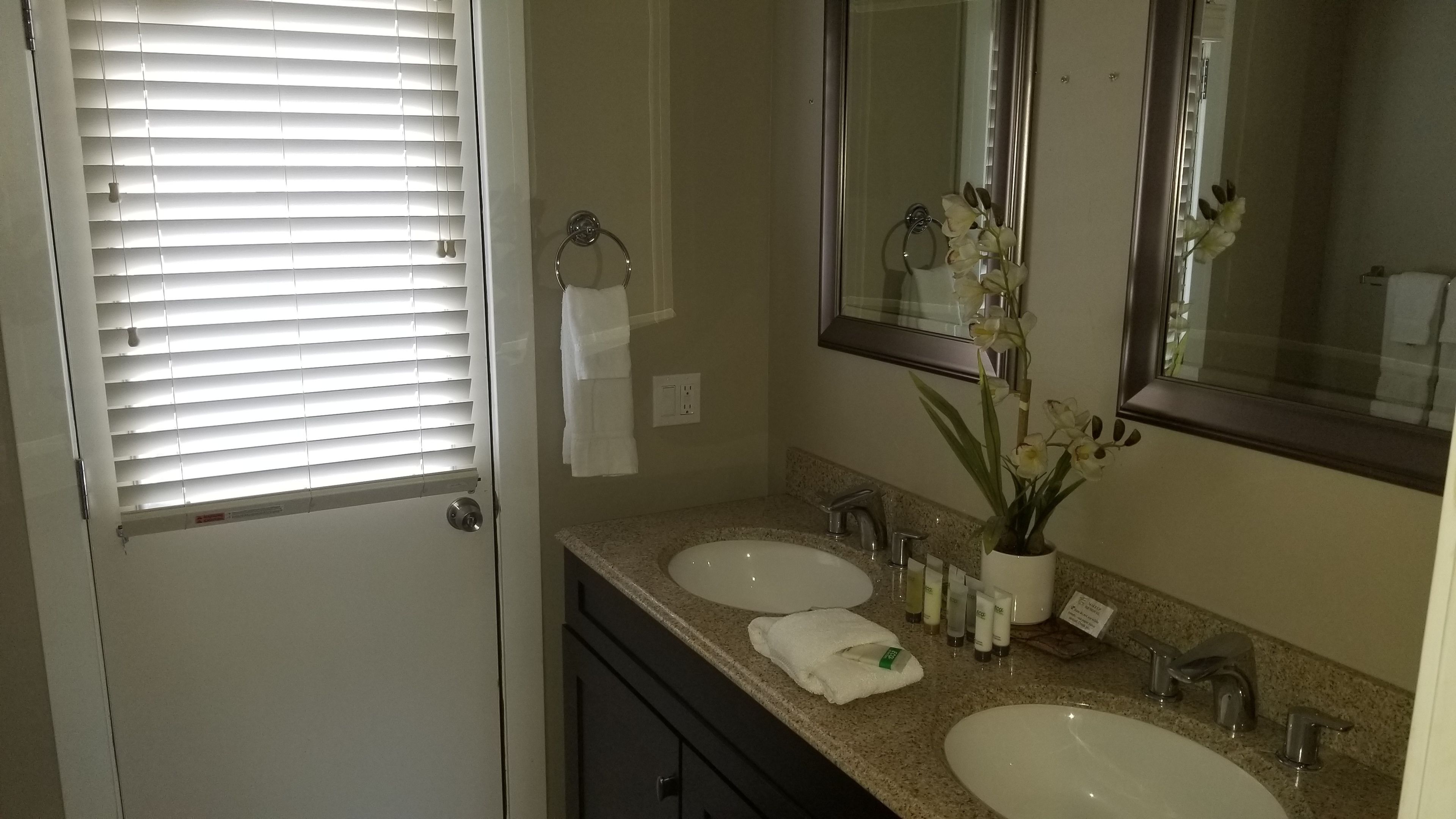 A bathroom with two sinks, a mirror, a towel rack, and a potted orchid.