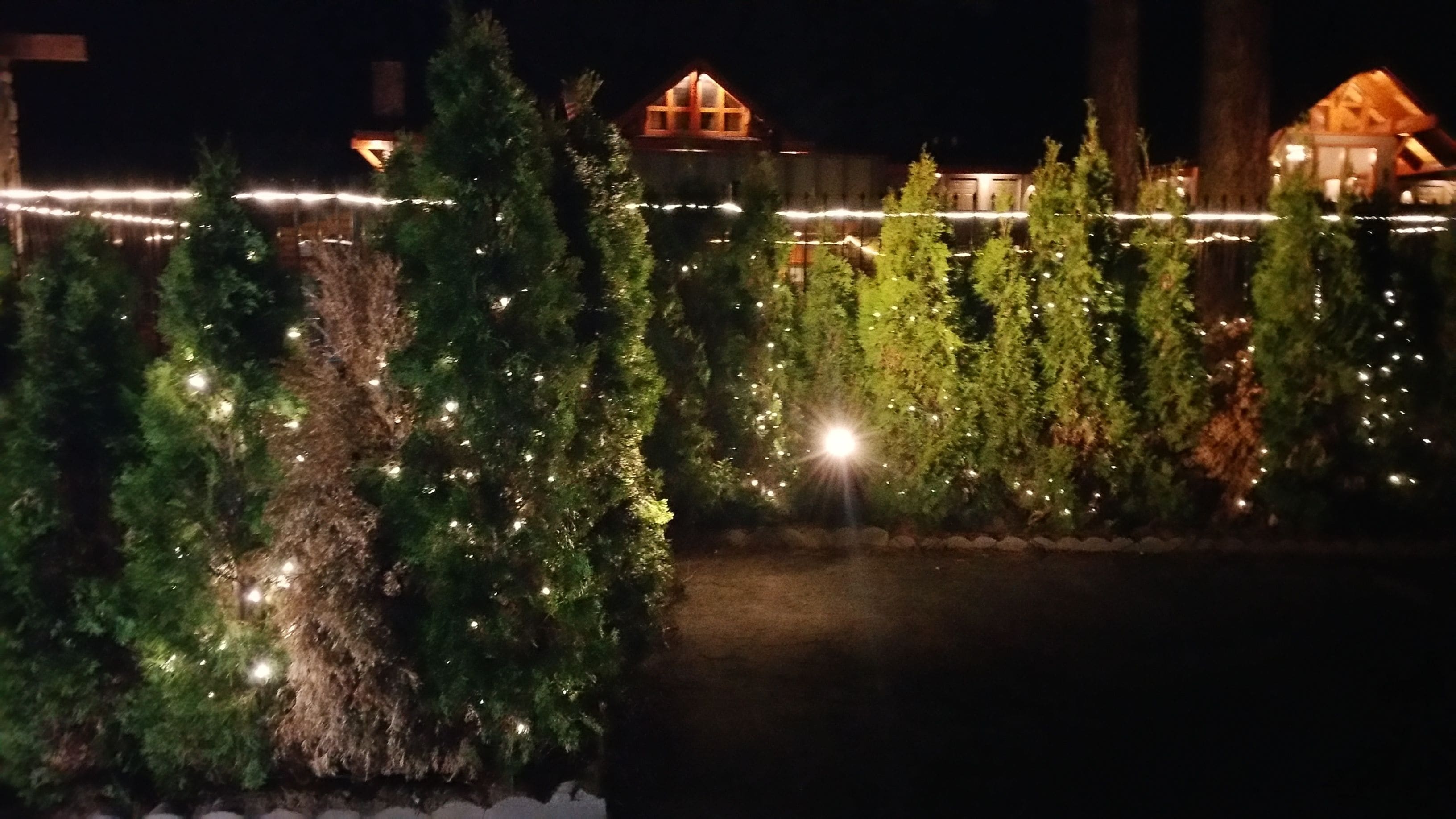 Une vue nocturne d’un bâtiment dont le toit est illuminé, avec une rangée d’arbres à feuilles persistantes devant.
