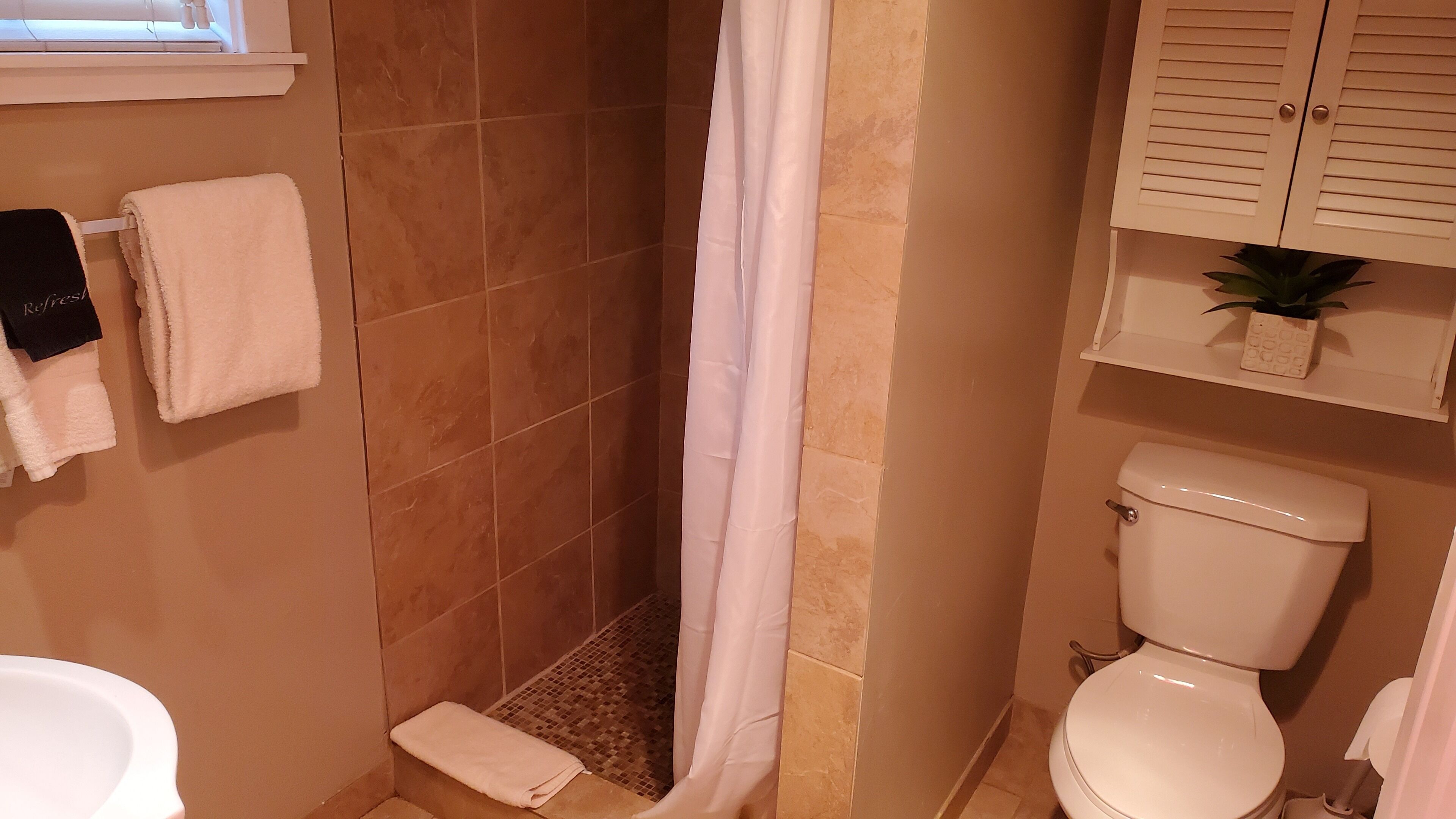 A bathroom with a shower, toilet, and a shelf with a plant.