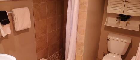 A bathroom with a shower, toilet, and a shelf with a plant.