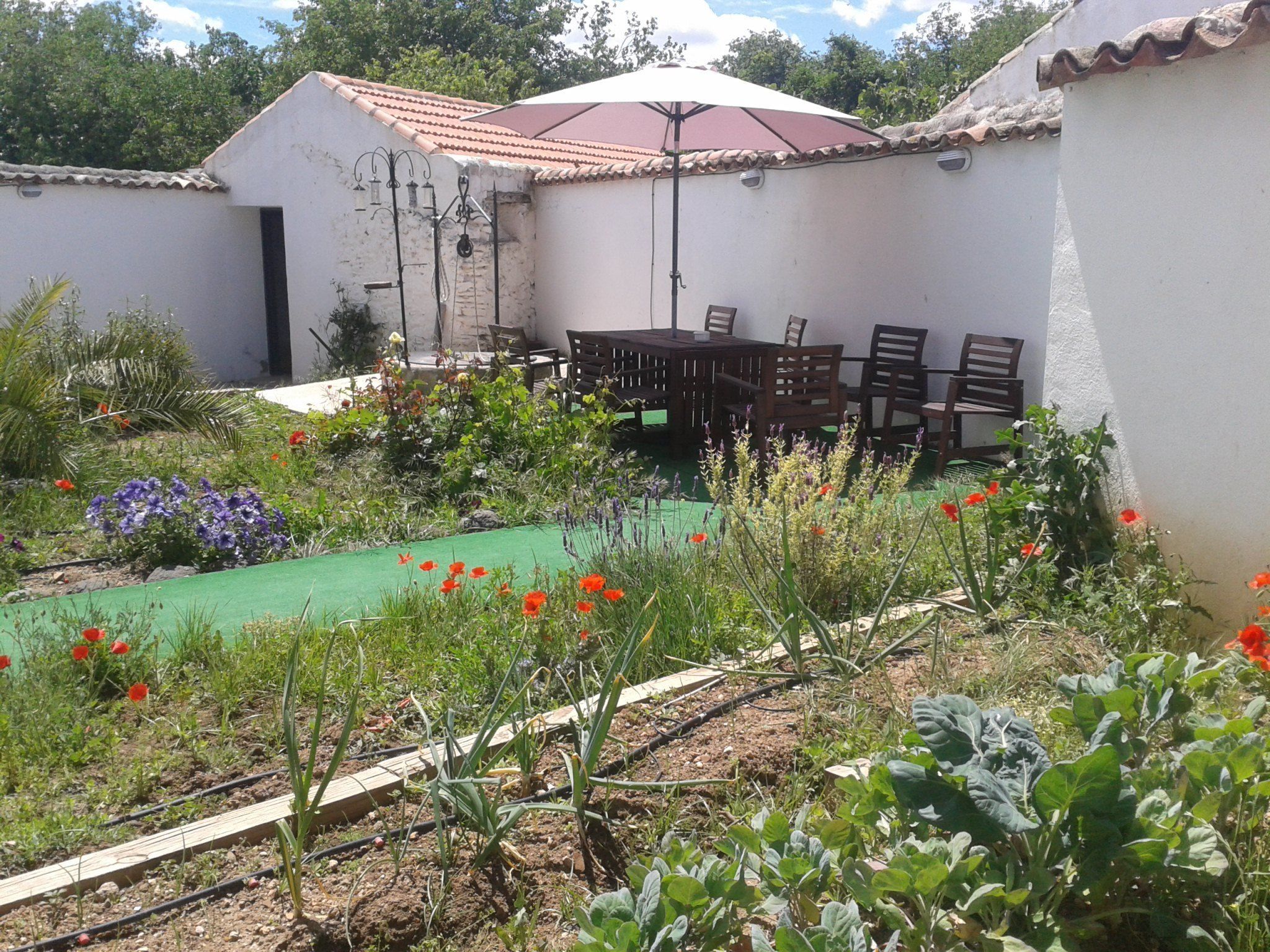Un jardín con una mesa y sillas, rodeado de diversas plantas y flores.