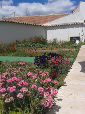 A garden with various flowers and a building with a tiled roof.
