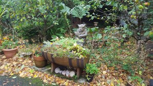A garden with a variety of plants, a decorative sculpture, and a bird feeder. - Tower Guest House (Stornoway)