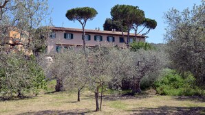 A building with a tiled roof, multiple windows with shutters, and a surrounding landscape with trees and shrubs. - Antica Villa di Bruto (Tivoli)