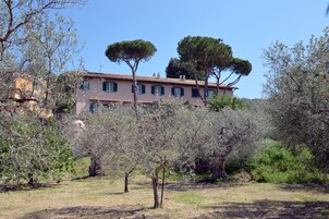 Un edificio con techo de tejas, varias ventanas con contraventanas y un paisaje circundante con árboles y arbustos.