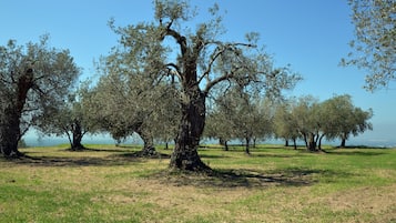 Aussenbereich