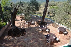 Un patio con mesas y sillas redondas, rodeado de árboles y un piso de ladrillo.
