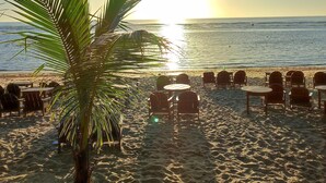 Une plage avec un palmier, du soleil et l’océan.