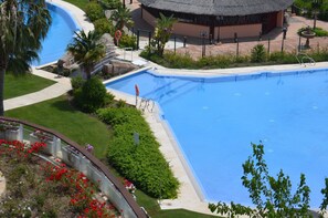 A large swimming pool with a surrounding deck, palm trees, and a building with a thatched roof.