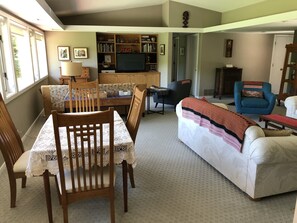 TV, lareira, DVD player, livros