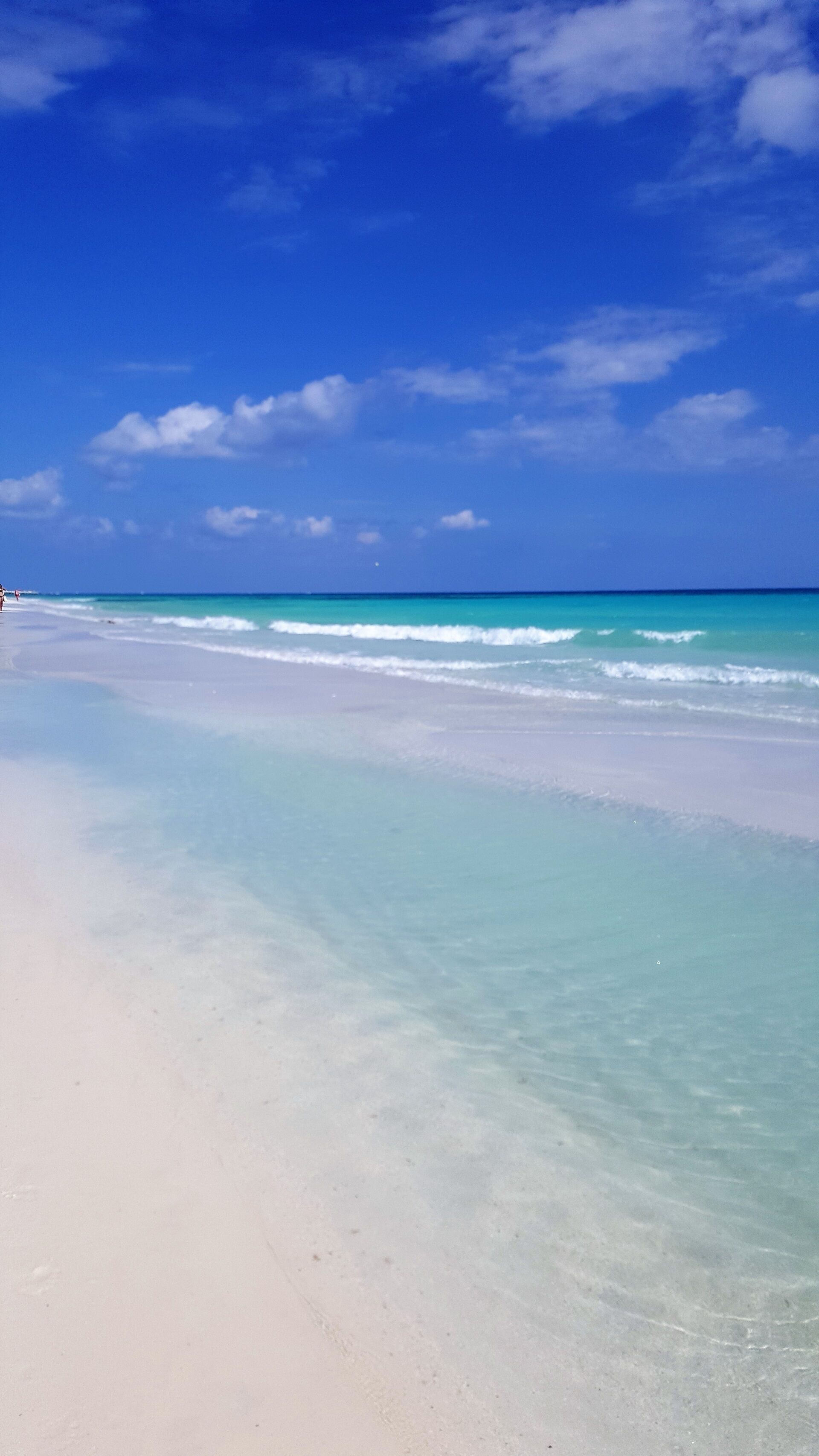 Plage à proximité, chaises longues, serviettes de plage