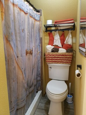 Regadera, toallas, jabón, shampoo 