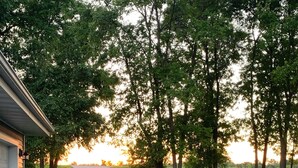 A driveway leading to a house with a garage, surrounded by trees and a grassy area. - Waterfront Cottage on the bay in Green Bay (Little Suamico)