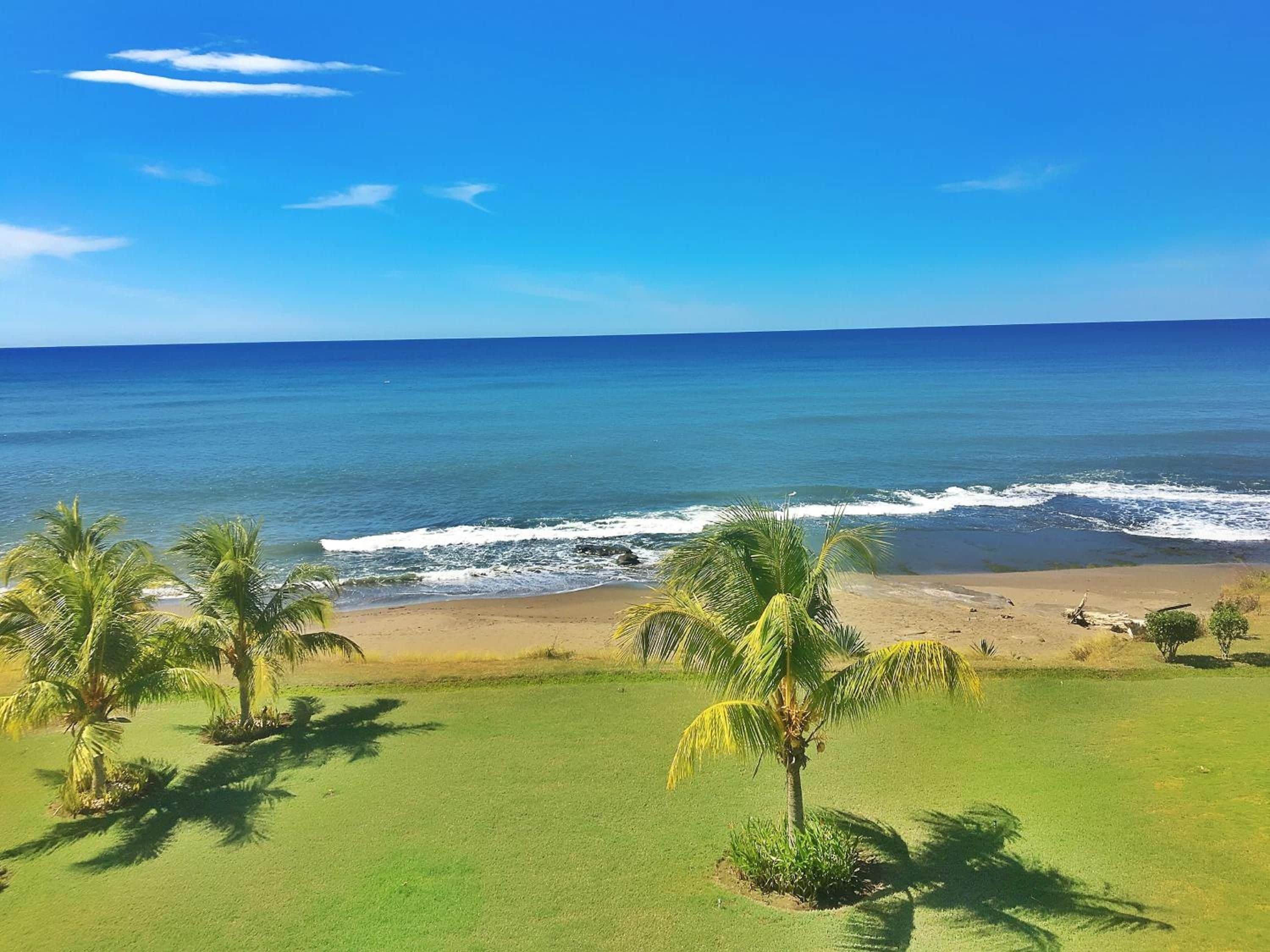 A beach with palm trees and ocean waves.