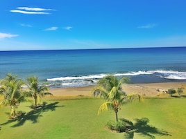 A beach with palm trees and ocean waves.