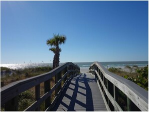 Walk along the boardwalk to the ocean's edge.
