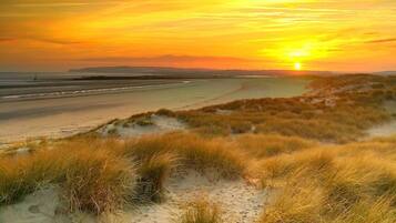 Un paysage de plage avec des dunes et un coucher de soleil.