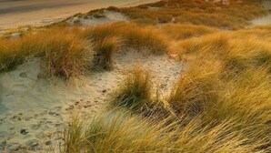 Paesaggio costiero con dune e un tramonto.