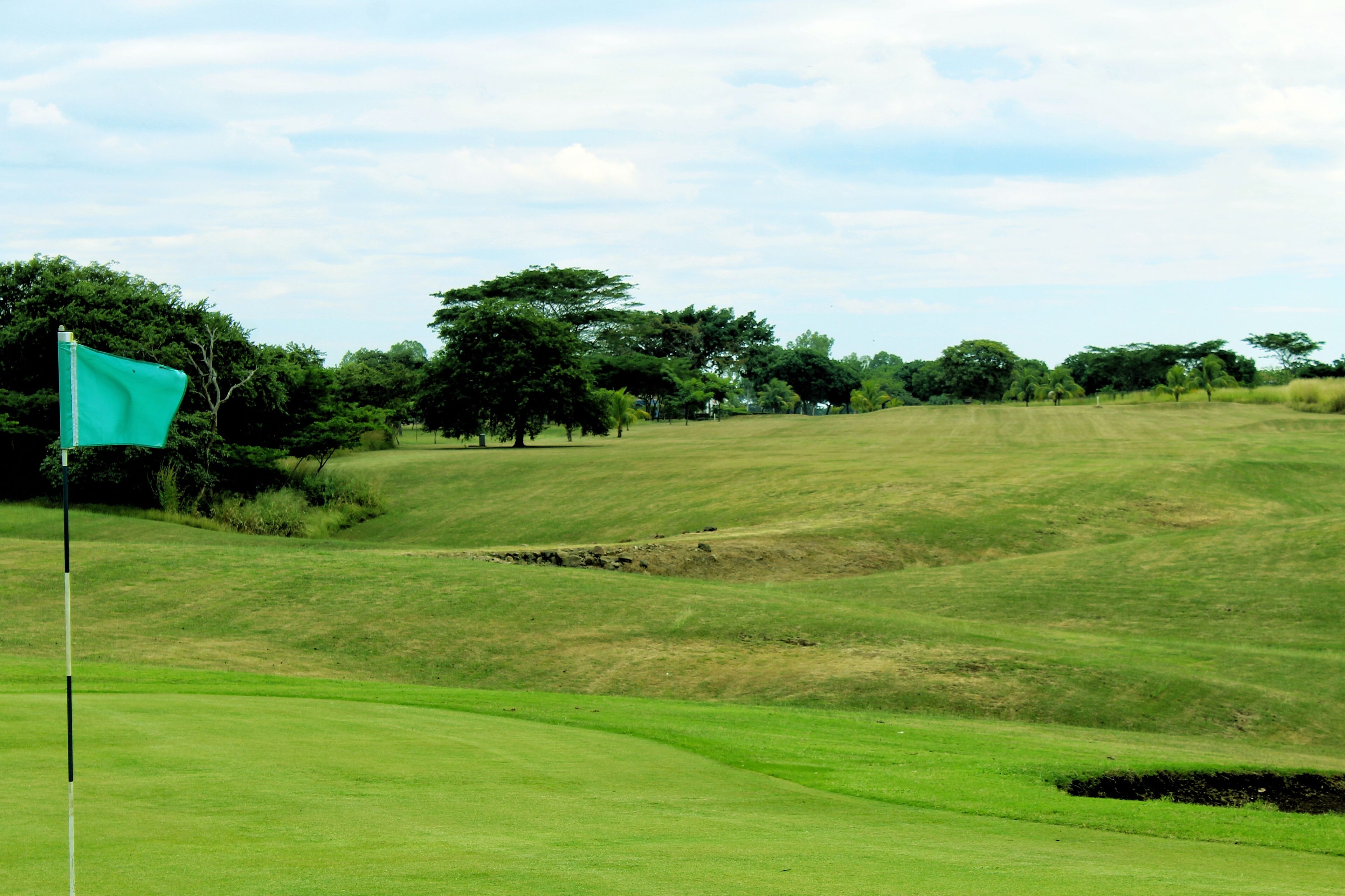 Un campo de golf con una bandera, árboles y terreno ondulado.
