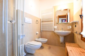 Shower, hair dryer, bidet, towels