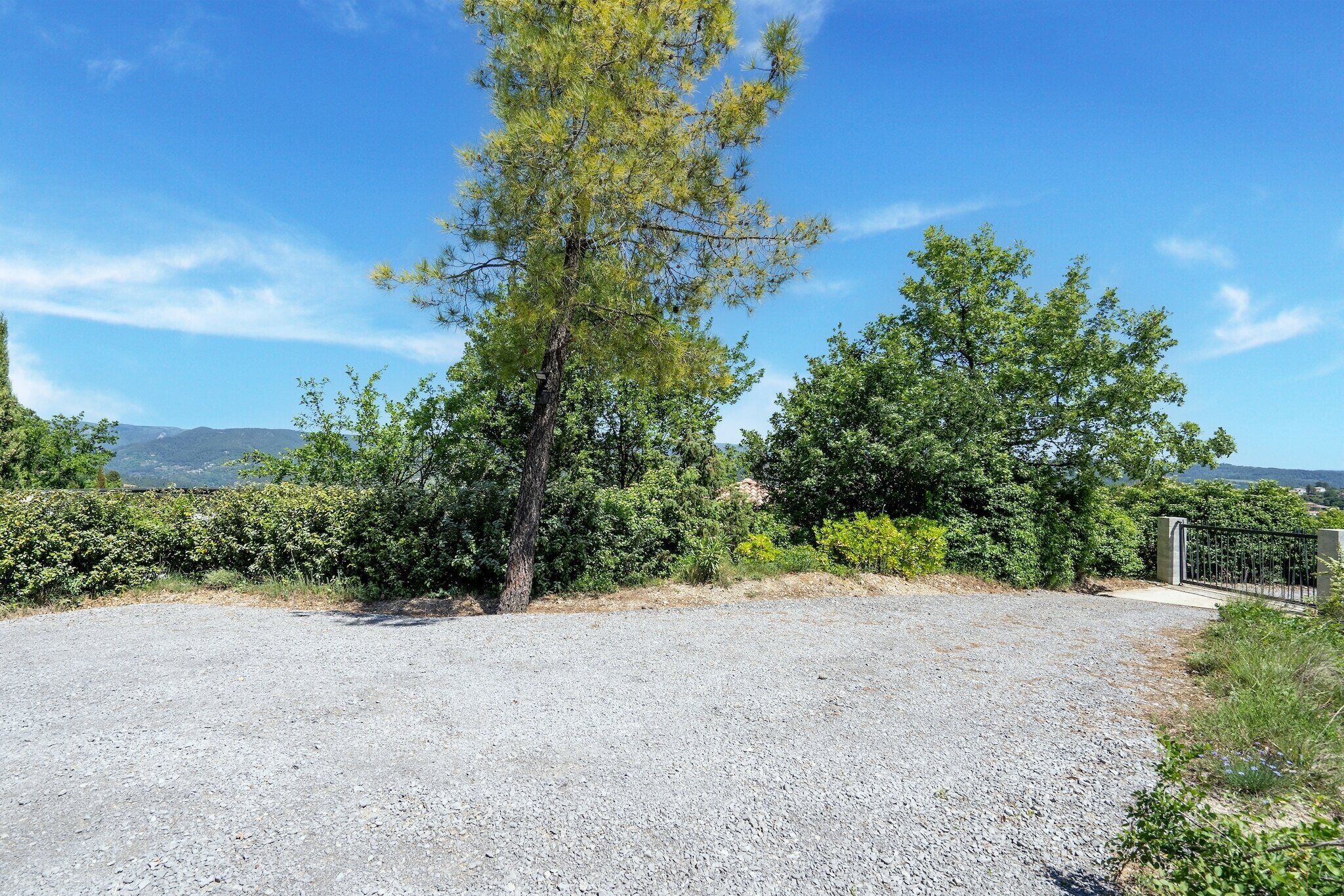 A gravel driveway leading to a gated entrance surrounded by dense greenery and trees.