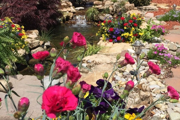 Jardin