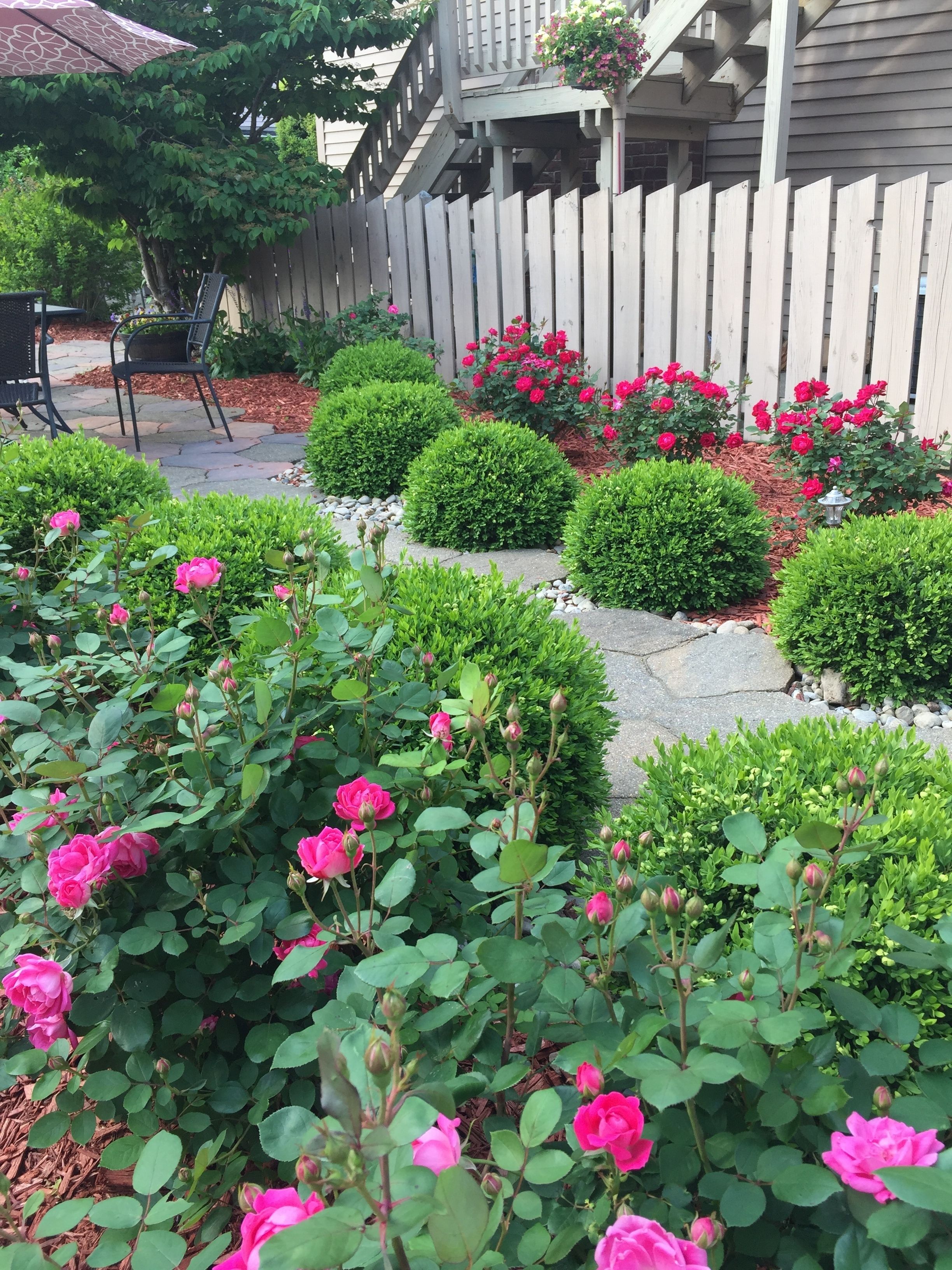 A garden with pink roses and neatly trimmed bushes, a wooden fence, and a patio area with chairs.
