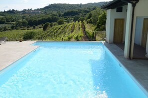 Pool - Lovely apartment for 4 people with pool, WIFI, TV, patio and pets allowed, close to Arezzo (Capolona)