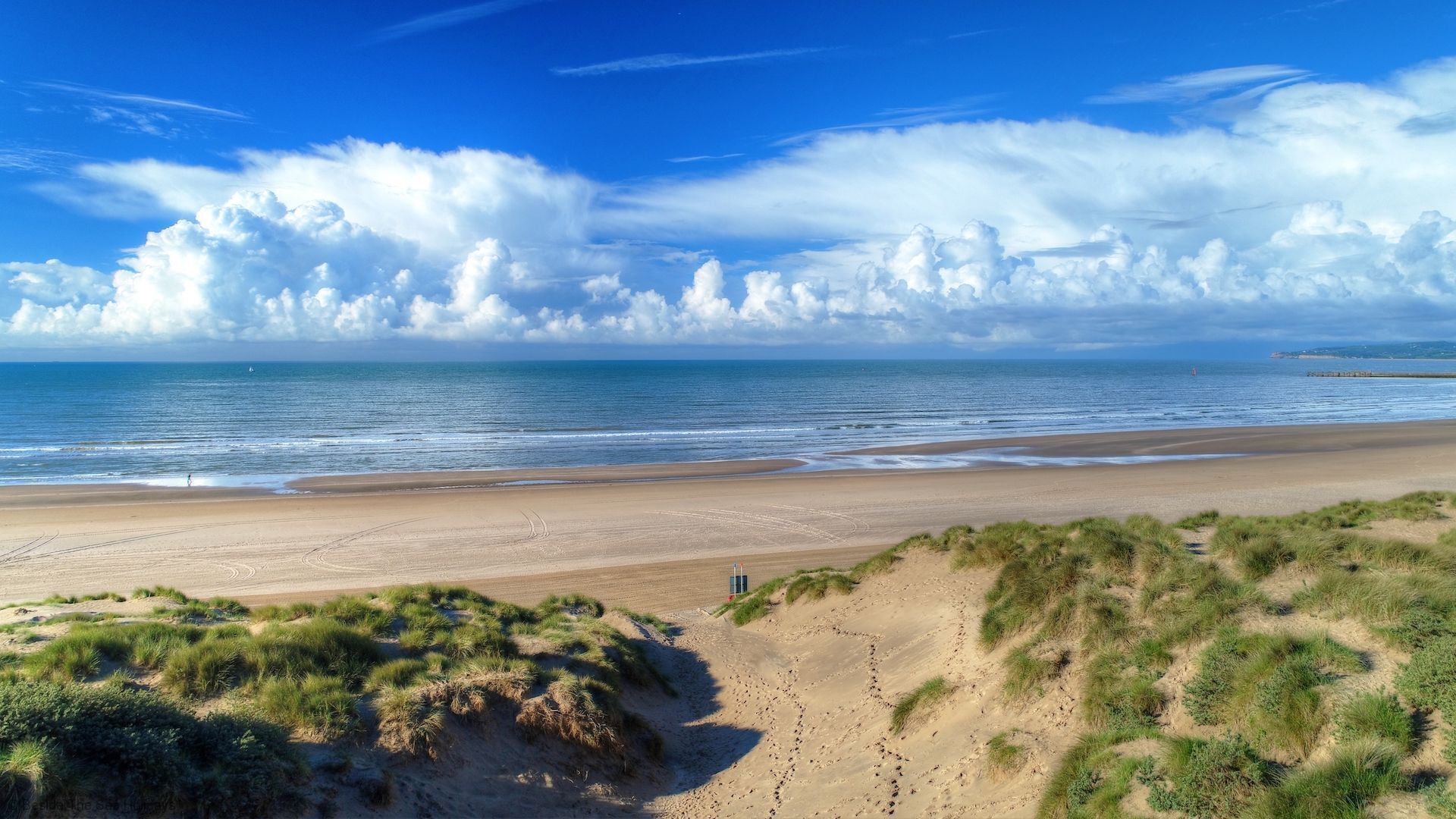 A beach with a clear sky, sandy shore, and dunes.