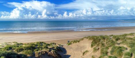 A beach with a clear sky, sandy shore, and dunes.