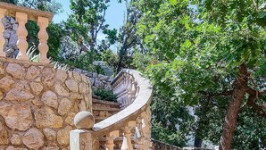Una escalera de piedra con barandillas, una planta en maceta y un árbol en un jardín.