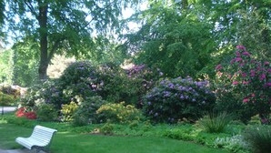 Un banco en un jardín con diversas plantas y árboles florecientes.
