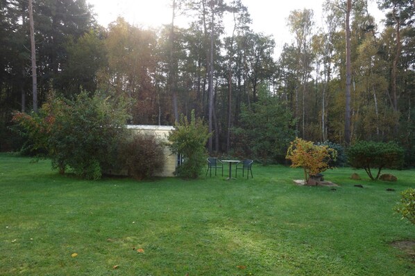 Imagen sin descripción, 1 de 10, botón