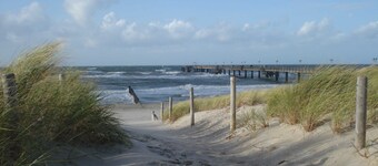 Coastal Forest - LĂ€genhet liten Eikkater 8