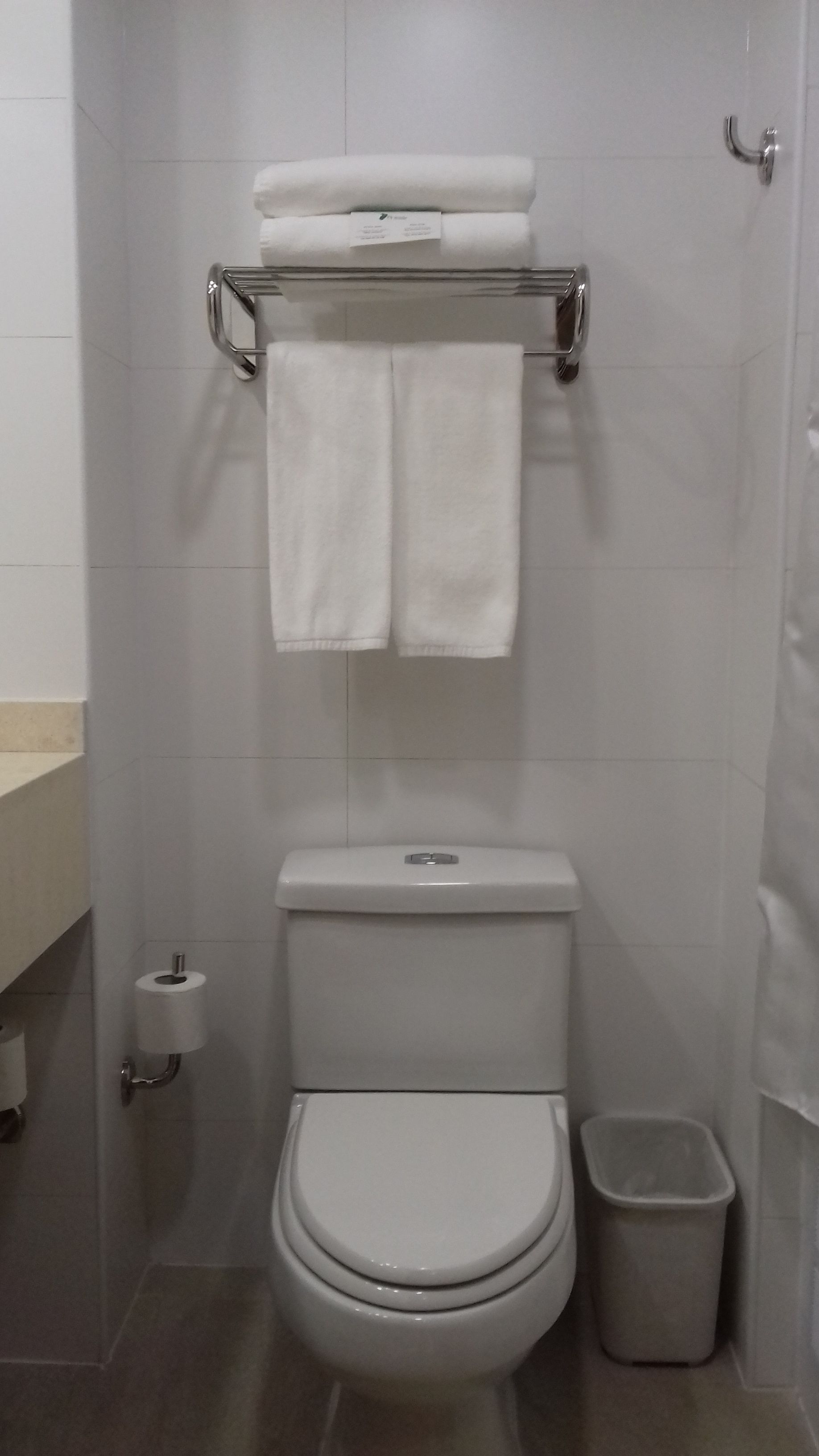 A bathroom with a toilet, a trash bin, a towel rack with two towels, and a toilet paper holder.