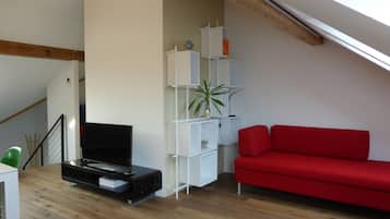 Smart TV, DVD player, books, video library
