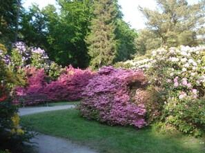 Parco della struttura
