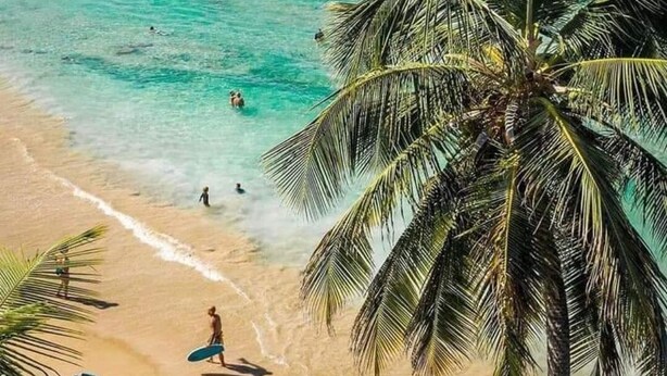 Une plage avec une eau turquoise et limpide, des palmiers et quelques personnes.