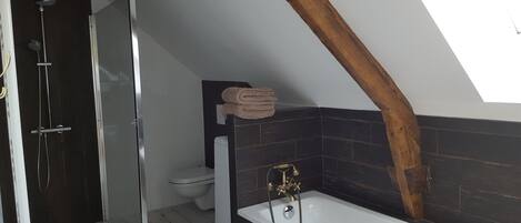 A modern bathroom with a shower, toilet, and bathtub.