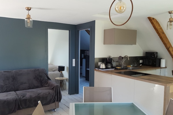 Televisión, futbolito, tenis de mesa y libros