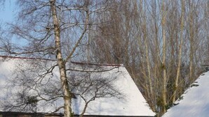 A rustic stone building with a snow-covered roof, a large wheel, and a tree in the foreground. - Moulin de Cussigny, charming B&B (Corgoloin)