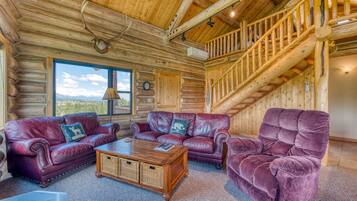 TV, fireplace, DVD player