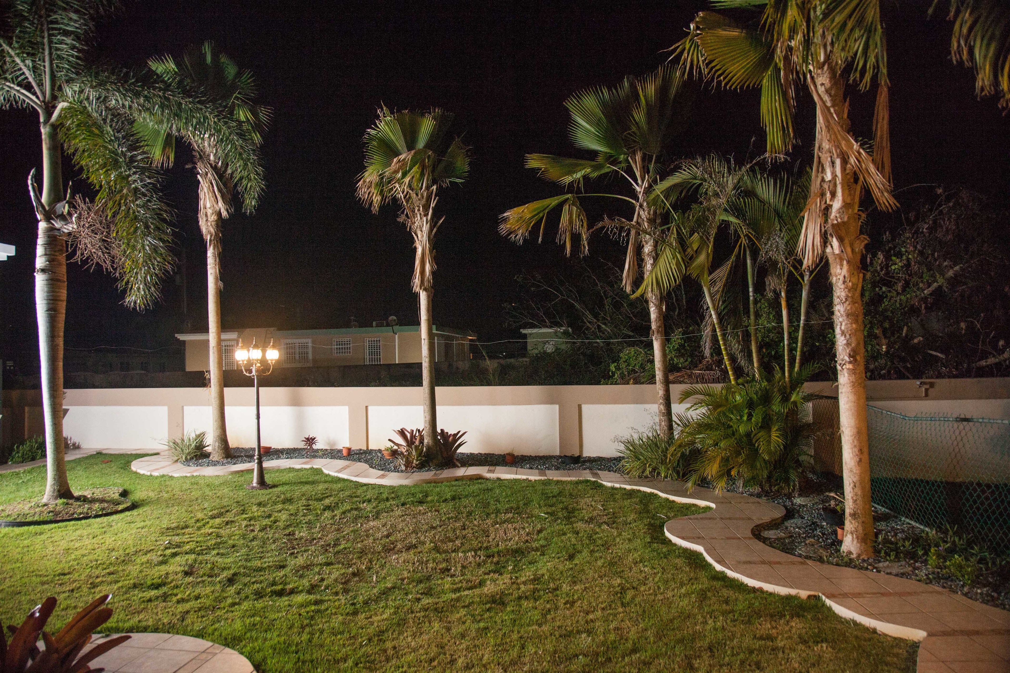 A nighttime view of a well-maintained garden with palm trees, a paved walkway, and a building in the background.