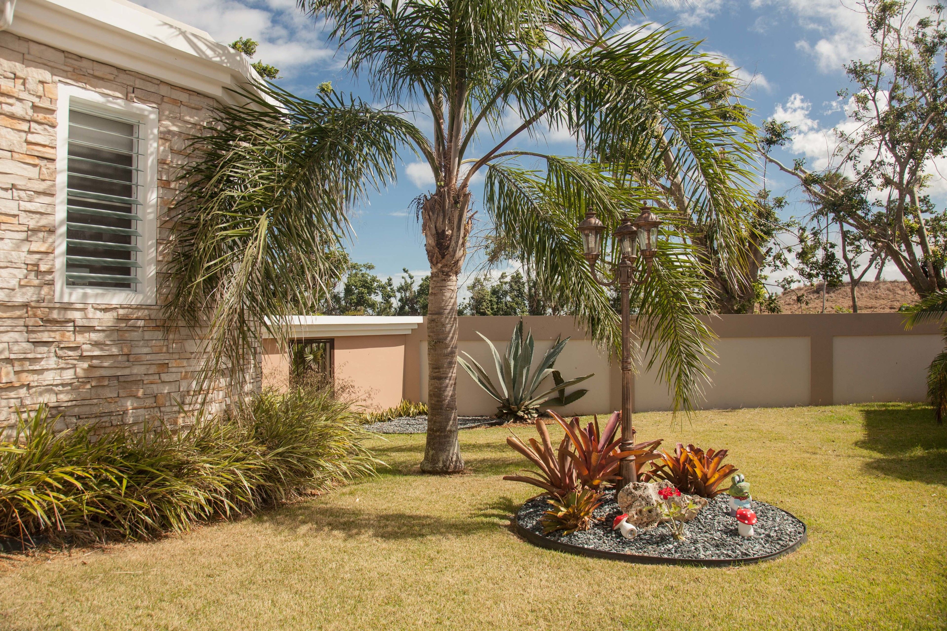 Un giardino curato con palme, diverse piante e un edificio in pietra con una finestra.