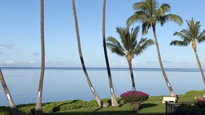 A view of tall palm trees and a calm sea, with a grassy area and a bench. - ALOHA OceanFront Condo w.A/C,  Molokai, Hawaii Watch whales Dec-April. (Kaunakakai)