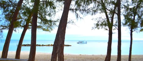 Playa en los alrededores y toallas de playa 