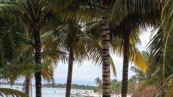 Beach nearby, sun-loungers, beach towels