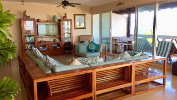 Smart TV, DVD player, books, music library